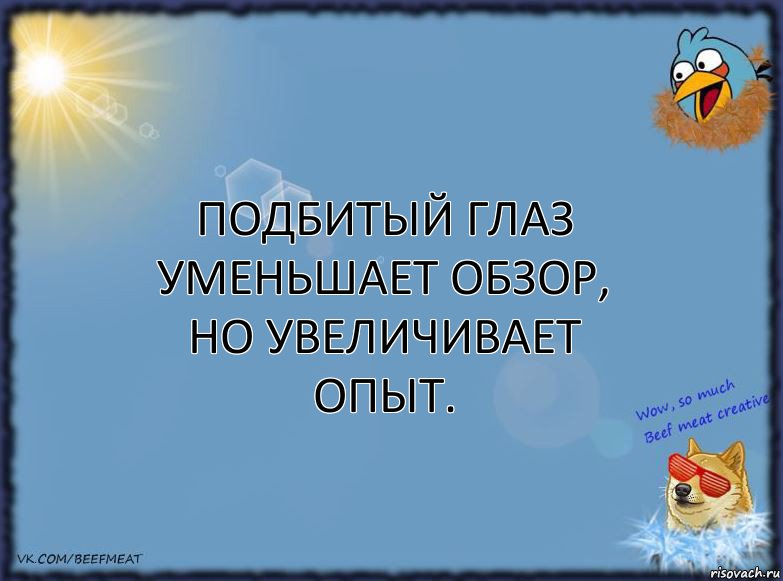 Подбитый глаз уменьшает обзор, но увеличивает опыт., Комикс ФОН