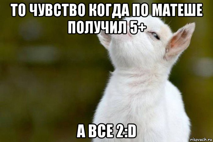 то чувство когда по матеше получил 5+ а все 2:d, Мем  Гордый козленок