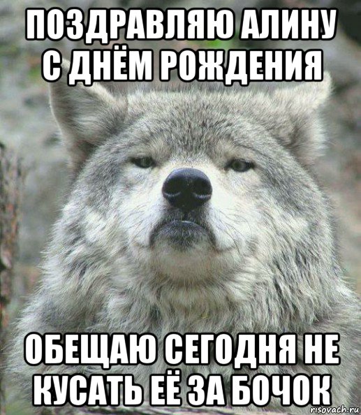 поздравляю алину с днём рождения обещаю сегодня не кусать её за бочок, Мем    Гордый волк