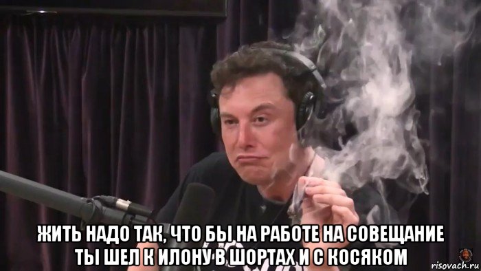  жить надо так, что бы на работе на совещание ты шел к илону в шортах и с косяком, Мем Илон Маск