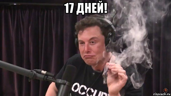 17 дней! , Мем Илон Маск