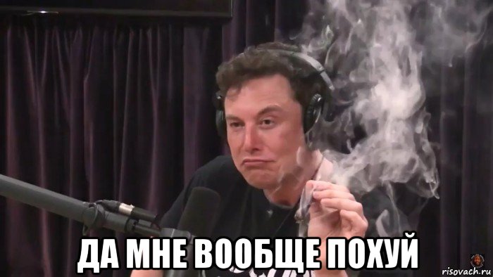  да мне вообще похуй, Мем Илон Маск