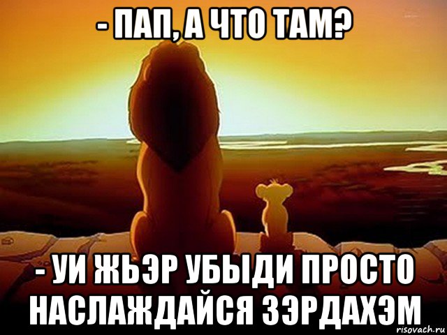 - пап, а что там? - уи жьэр убыди просто наслаждайся зэрдахэм, Мем  король лев