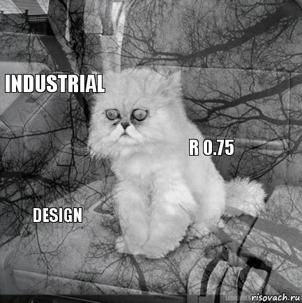        Industrial Design R 0.75, Комикс  кот безысходность