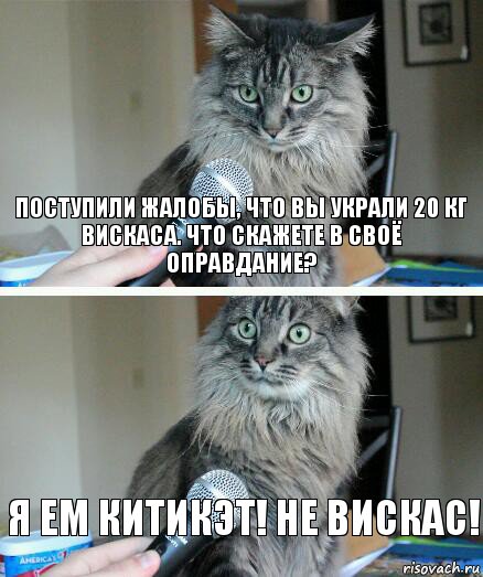 Поступили жалобы, что вы украли 20 кг Вискаса. Что скажете в своё оправдание? Я ем Китикэт! Не Вискас!