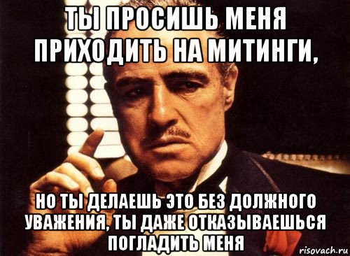 ты просишь меня приходить на митинги, но ты делаешь это без должного уважения, ты даже отказываешься погладить меня, Мем крестный отец