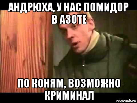 андрюха, у нас помидор в азоте по коням, возможно криминал, Мем Ларин по коням