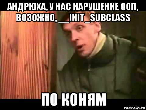 андрюха, у нас нарушение ооп, возожно, __init_subclass по коням, Мем Ларин по коням