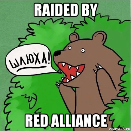 raided by red alliance, Мем Медведь в кустах