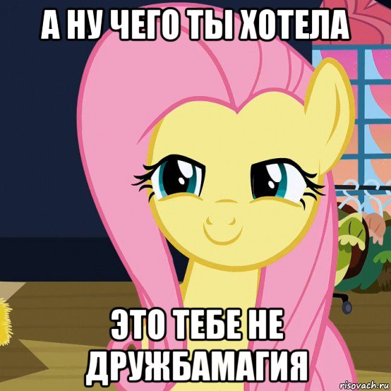 а ну чего ты хотела это тебе не дружбамагия, Мем  Mem Fluttershy