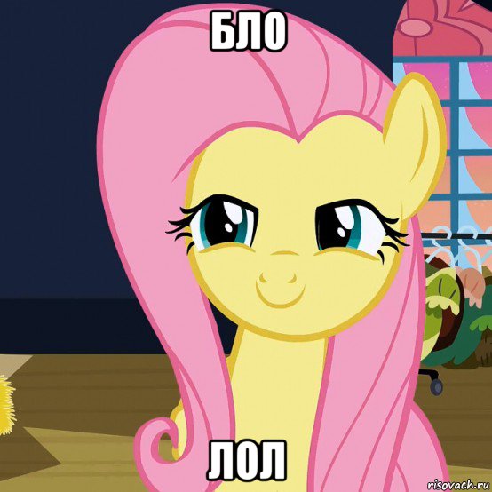 бло лол, Мем  Mem Fluttershy