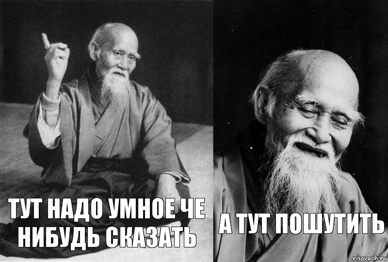 тут надо умное че нибудь сказать а тут пошутить, Комикс Мудрец-монах (2 зоны)