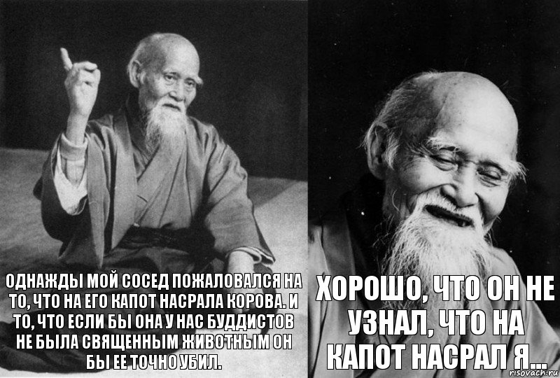 однажды мой сосед пожаловался на то, что на его капот насрала корова. и то, что если бы она у нас буддистов не была священным животным он бы ее точно убил. хорошо, что он не узнал, что на капот насрал я..., Комикс Мудрец-монах (2 зоны)