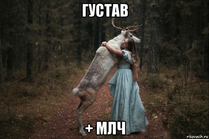 густав + млч