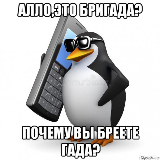 Мем ало. Пингвин с телефоном. Алло это Мем с пингвином. Але. Алло мемы.