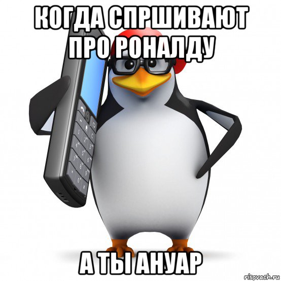 когда спршивают про роналду а ты ануар, Мем   Пингвин звонит