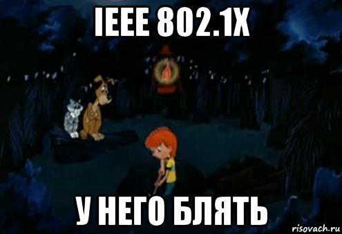 ieee 802.1x у него блять, Мем Простоквашино закапывает