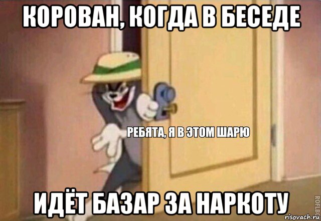 корован, когда в беседе идёт базар за наркоту, Мем    Ребята я в этом шарю