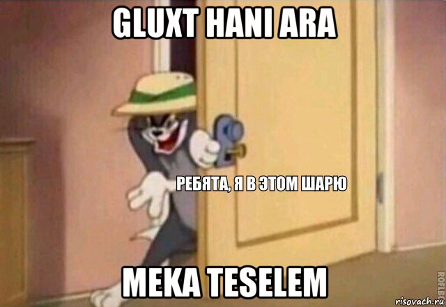 gluxt hani ara meka teselem, Мем    Ребята я в этом шарю