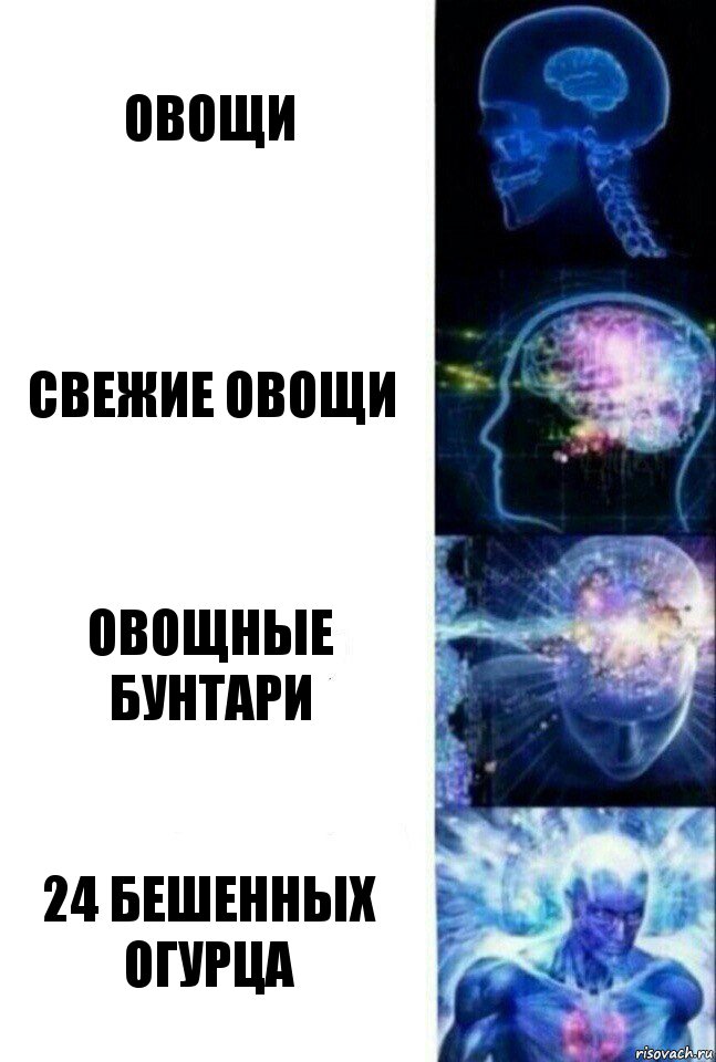 Овощи Свежие овощи Овощные бунтари 24 бешенных огурца, Комикс  Сверхразум