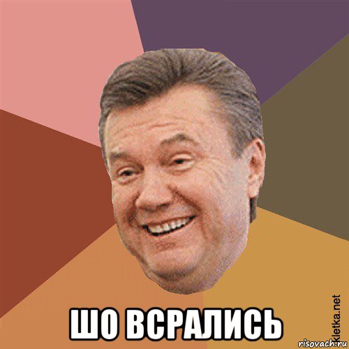  шо всрались