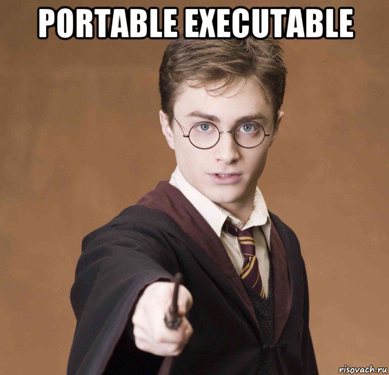 portable executable 