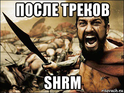 после треков shrm, Мем Это Спарта