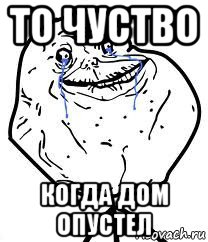 то чуство когда дом опустел, Мем Forever Alone