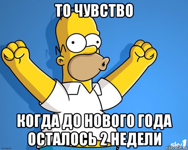 то чувство когда до нового года осталось 2 недели, Мем    Гомер