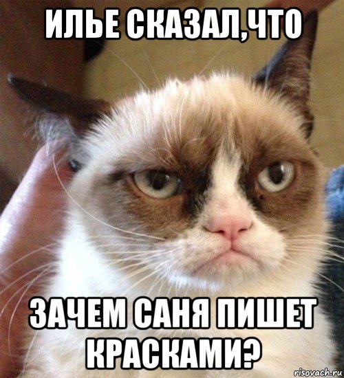 илье сказал,что зачем саня пишет красками?, Мем Грустный (сварливый) кот