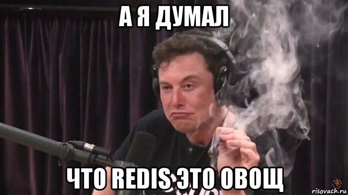 а я думал что redis это овощ, Мем Илон Маск