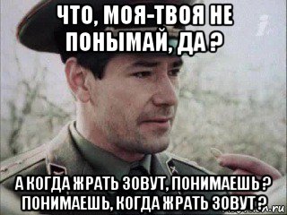 Не пойму твою суть. Моя твоя не понимать. Моя твоя не понимай. Моя твоя не понимать Мем. Моя твоя не понимать откуда фраза.