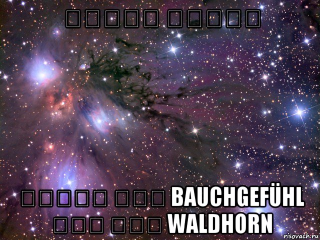 תרגום שאילה תחושת בטן bauchgefühl קרן יער waldhorn, Мем Космос