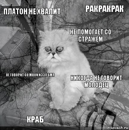 Платон не хвалит никогда не говорит молодец не помогает со стражем краб не говорит со мной изза БМа ракракрак    , Комикс  кот безысходность