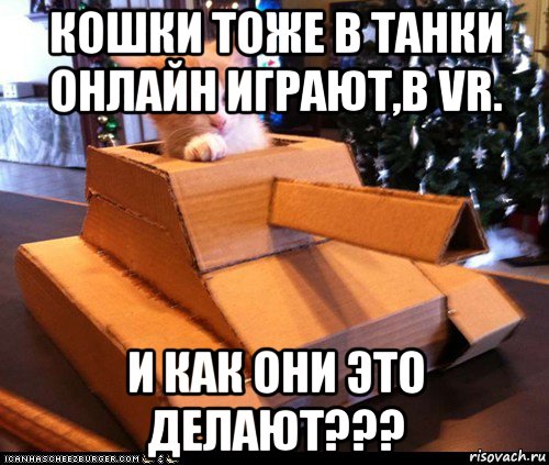 кошки тоже в танки онлайн играют,в vr. и как они это делают???