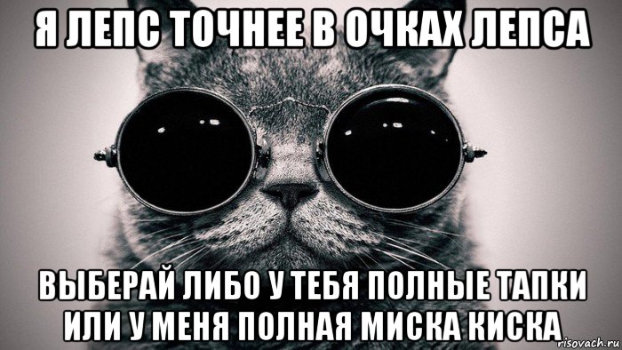 я лепс точнее в очках лепса выберай либо у тебя полные тапки или у меня полная миска киска, Мем Котоматрица