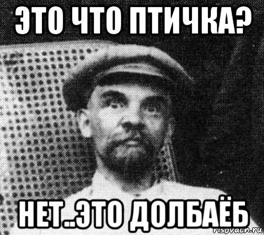 это что птичка? нет..это долбаёб