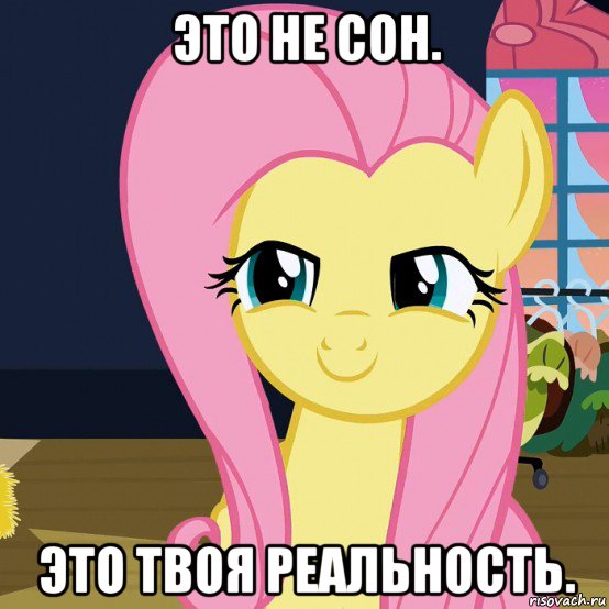 это не сон. это твоя реальность., Мем  Mem Fluttershy