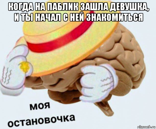 когда на паблик зашла девушка, и ты начал с ней знакомиться , Мем   Моя остановочка мозг