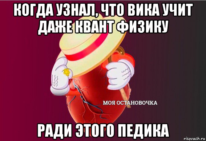 когда узнал, что вика учит даже квант физику ради этого педика, Мем   Моя остановочка