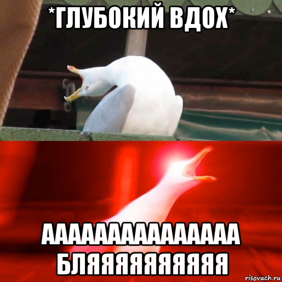 Вдох пошло. Глубокий вдох. Глубокий вдох Мем. Орущий Гусь Мем. Мем Гусь глубокий вдох.