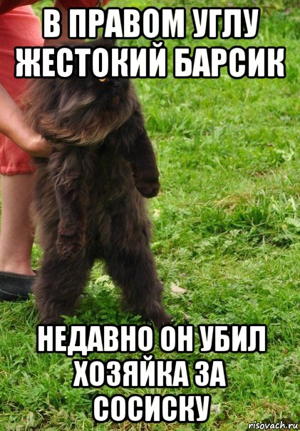 Скачай это бесплатное Фото на тему Не пущу мем и открой