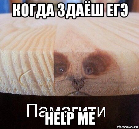 когда здаёш егэ help me, Мем   Памагити