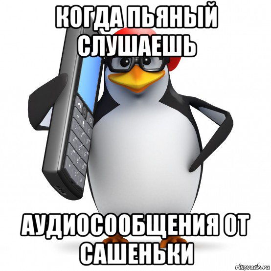Привет звонкий. Пингвин Мем. Мемы с пингвинами. Рокет Пингвин Мем. Мем пингвины Саня.