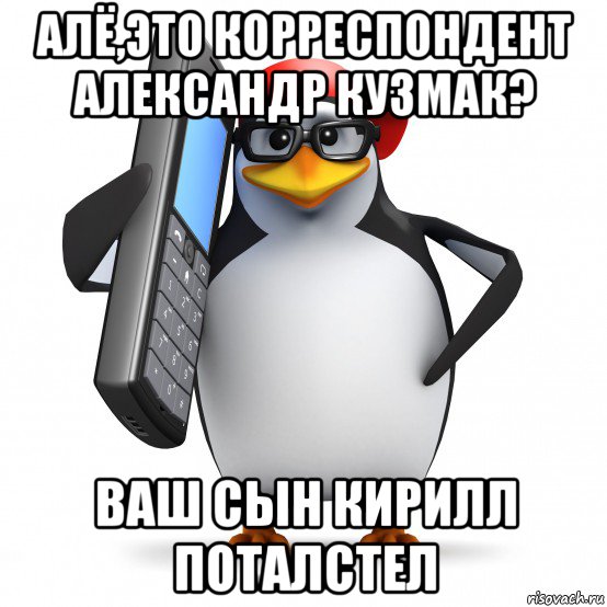 алё,это корреспондент александр кузмак? ваш сын кирилл поталстел, Мем   Пингвин звонит