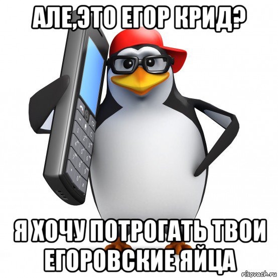 але,это егор крид? я хочу потрогать твои егоровские яйца, Мем   Пингвин звонит