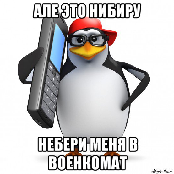 але это нибиру небери меня в военкомат, Мем   Пингвин звонит