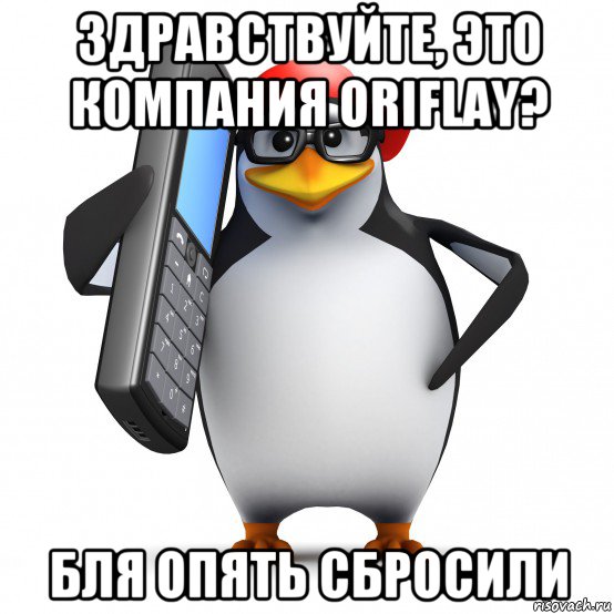 здравствуйте, это компания oriflay? бля опять сбросили, Мем   Пингвин звонит