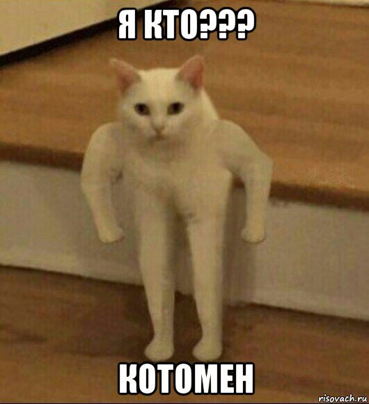 я кто??? котомен, Мем  Полукот