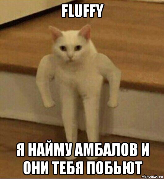 fluffy я найму амбалов и они тебя побьют, Мем  Полукот